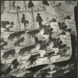faceted-fictions-3