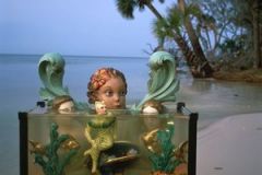 Fish Tank (1989) 