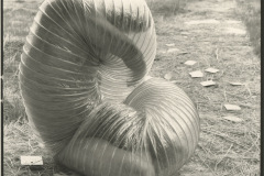 Male of the Species (1996-1999)