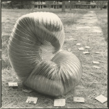 male-of-the-species-12