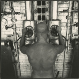 male-of-the-species-14