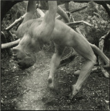 male-of-the-species-16