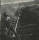 male-of-the-species-22