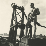 male-of-the-species-8