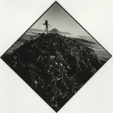 morro-rock-16