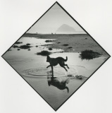 morro-rock-21