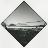 morro-rock-8
