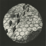 planets-1