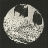 planets-10